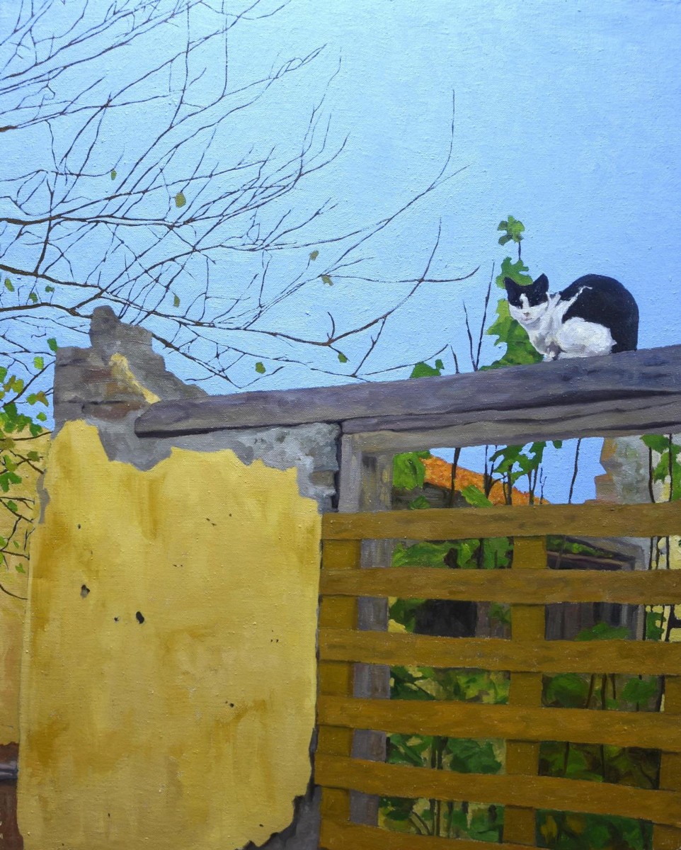 Cat on Yellow Wall II